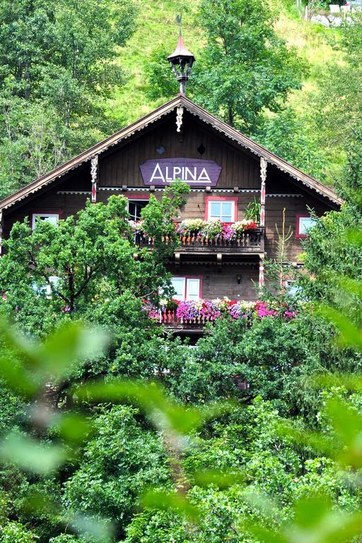 Landhaus Alpina Hostal Mittersill Exterior foto