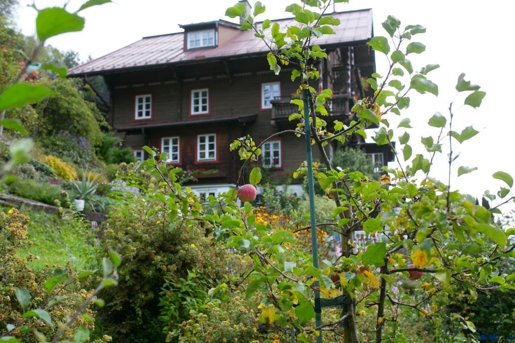 Landhaus Alpina Hostal Mittersill Exterior foto